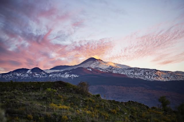 Etna i kvällsljus, sedd från vingårdarna vid Passopisciaro